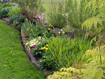 Garden near the patisserie