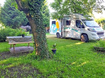 Pitch and picnic table under the trees