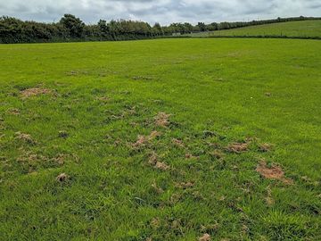 Plenty of room on the camping field