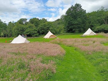 Bell tent area