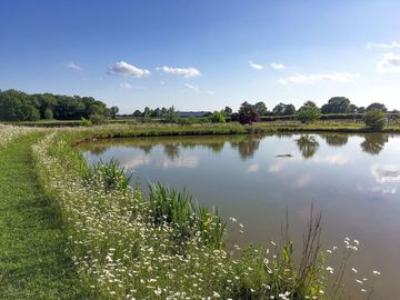 Lake on site