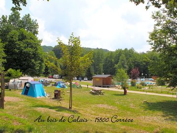 Grass pitches with trees for shade