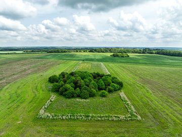 Aerial view of fields surrounding a small woodland