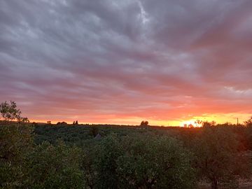 Sunset over wishne