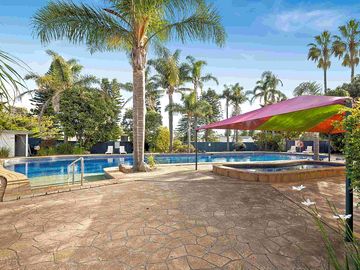 Palm-lined pool
