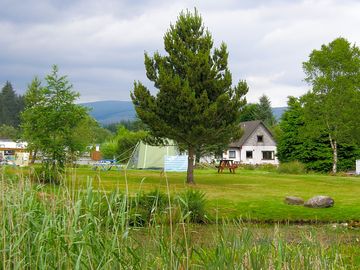 View of the tent area from the far side of the pond