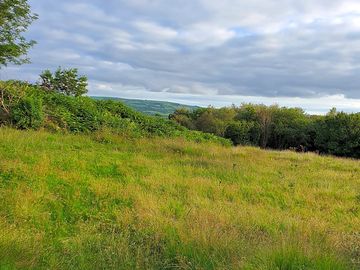 Camping field