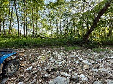 Another view of the site above the creek rocks