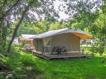 Safari tents