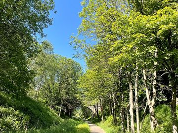 The trans pennine trail - close to the site