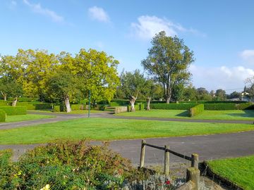 Grass pitches
