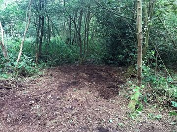 A beautiful tree lined secluded space!