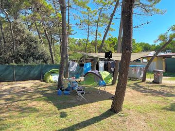 Tent pitches