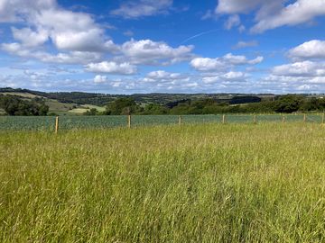 Views and pitch site