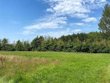 Relaxing view from the pitches
