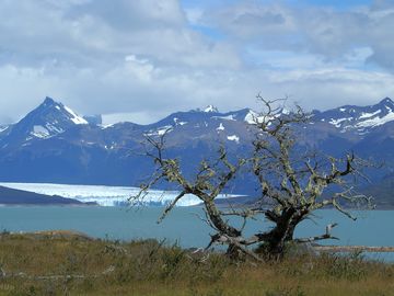 View of the glacier from the peninsula