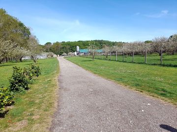 Welcome to worcesters, the blossom is looking lovely in the sunshine