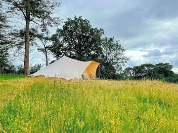The Pines bell tent