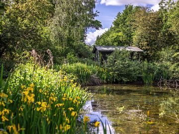 Hut by the Pond
