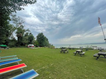 Grassy area