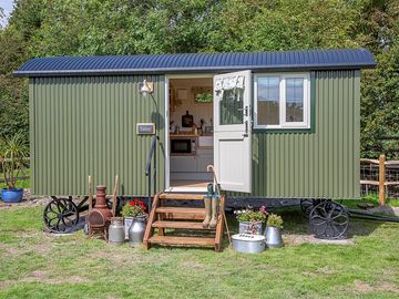 Tansy exterior