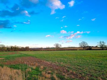 The view from the back of the site