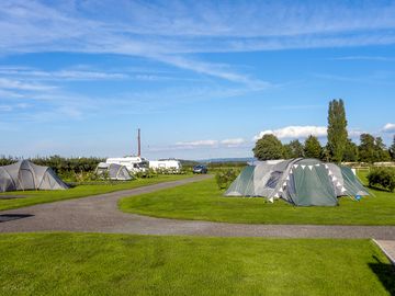 grass pitches