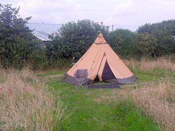 Tipi and chair on a grass pitch surrounded by wild grasses