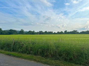 Great open fields