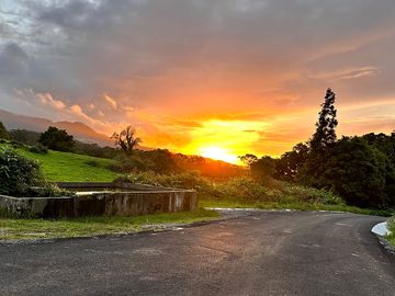 Por do sol biscoitos