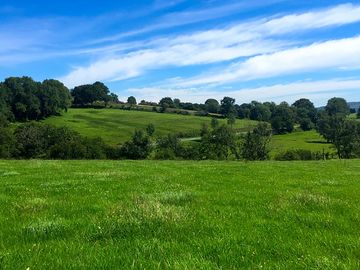 Rural views