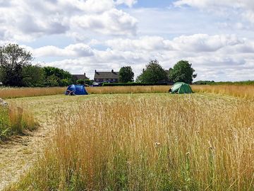 Visitor image of campsite area
