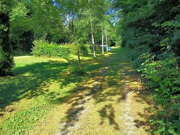 Pitches among the greenery