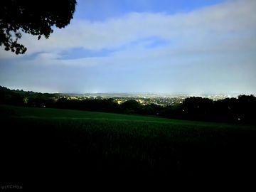 The view