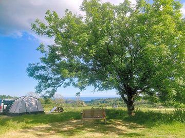 Campervan pitch