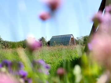 Camping pod through the grass