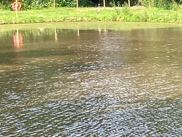 Fishing pools
