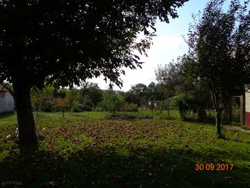 Shaded area of the garden