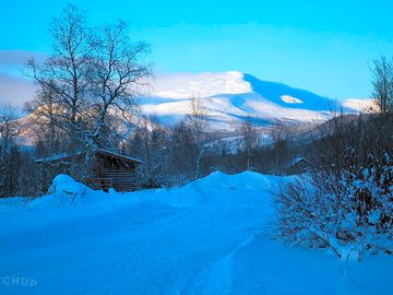 Winter views