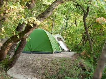 Forest pitch