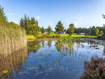 Looking across the pond to the pitches