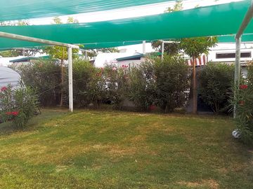 Large grassy pitch with hedges behind