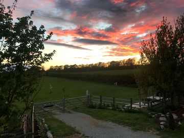 Dusk on site