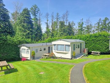 Caravans surrounded by greenery