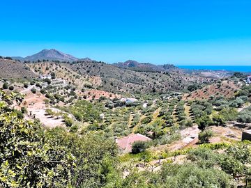 Your private paradise in Malaga City!