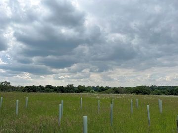 Overlooking the kentish countryside
