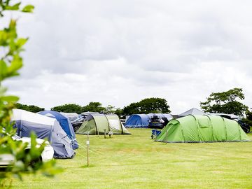 Spacious pitches, all with electric hook up