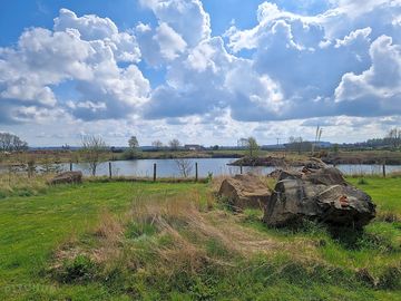 Lochside view