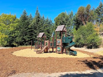 Playground surrounded by trees