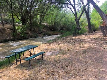 Camping along cedar creek